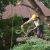 Perkasie Tree Removal by GF Amador Tree Services & Complete landscaping LLC